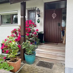 Panorama Apartment